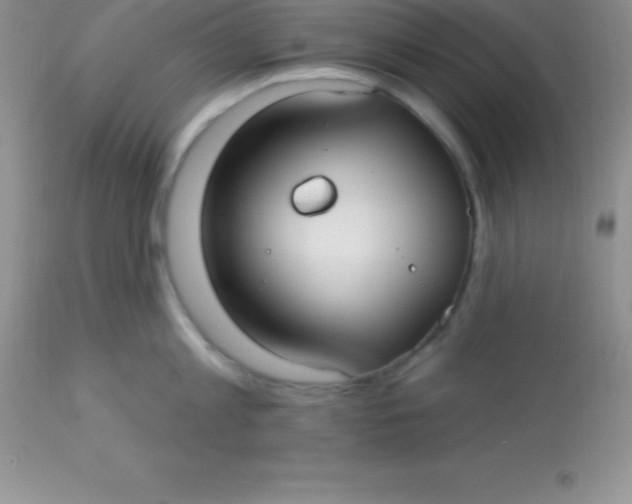 X0000113100813200909182136