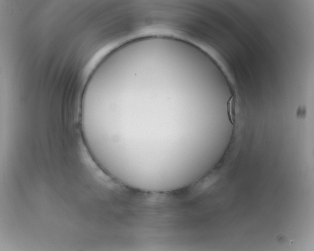 X0000113100815200909182136