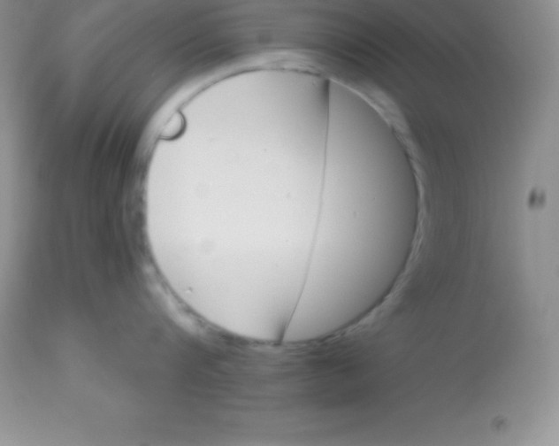 X0000113100816200909182136
