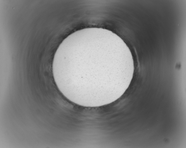 X0000113100817200909182135