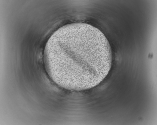 X0000113100818200909182135