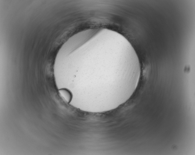 X0000113100819200909182135