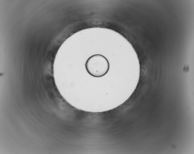 X0000113100820200909182135