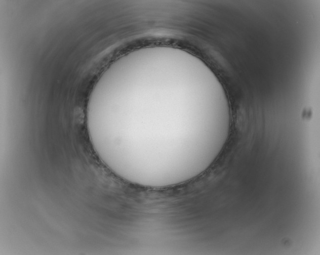 X0000113100821200909182135