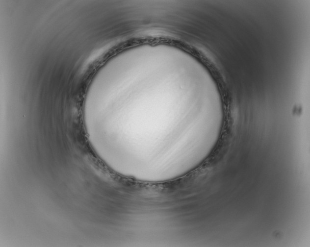 X0000113100823200909182136