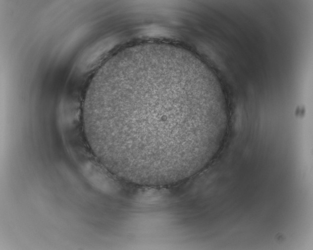 X0000113100824200909182136