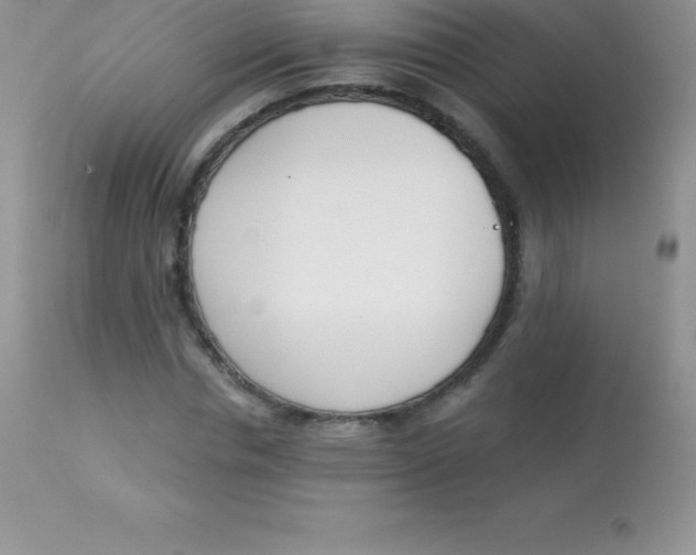 X0000113100826200909182136