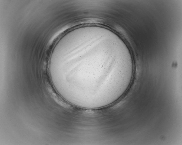 X0000113100827200909182136