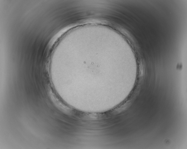 X0000113100828200909182136