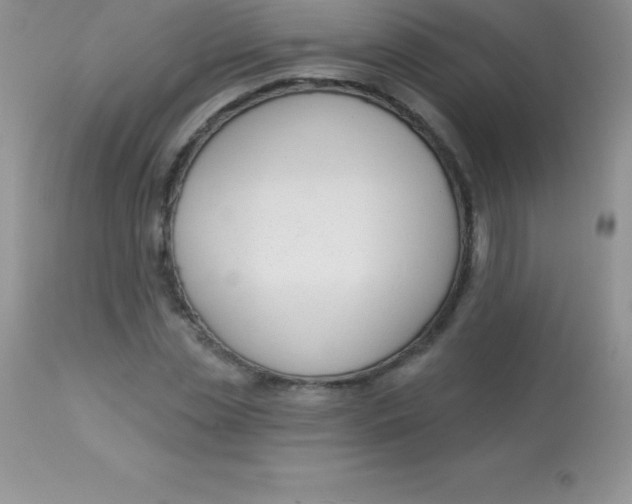 X0000113100829200909182136