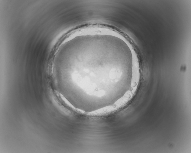 X0000113100832200909182136