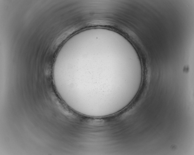 X0000113100833200909182136