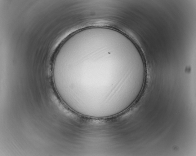 X0000113100835200909182136