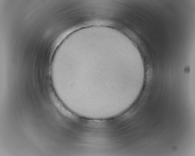X0000113100836200909182136