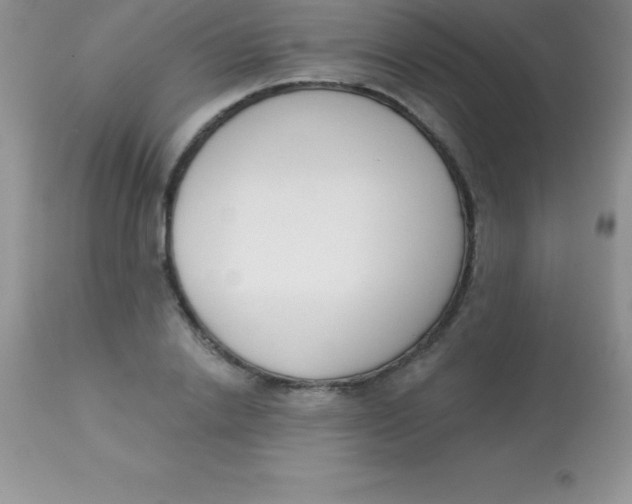 X0000113100838200909182136