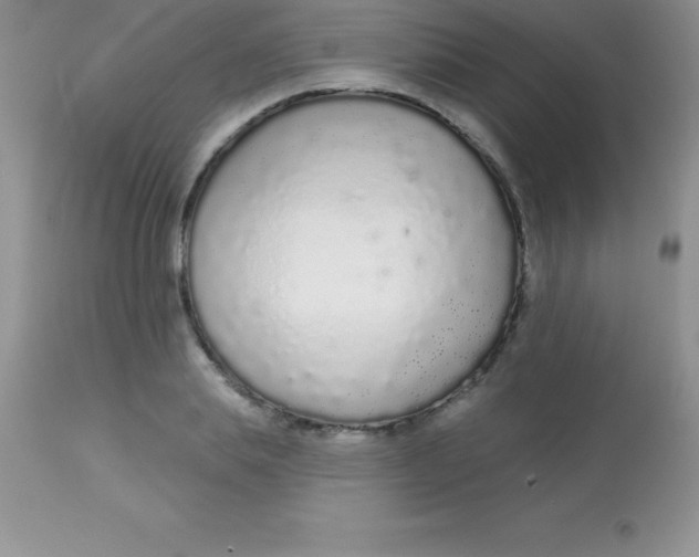 X0000113100839200909182136