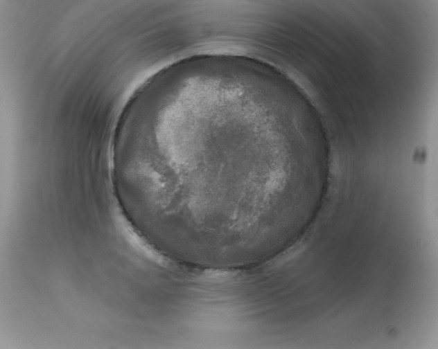 X0000113100840200909182136