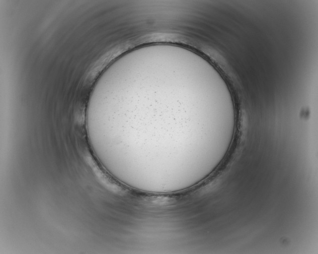 X0000113100841200909182136