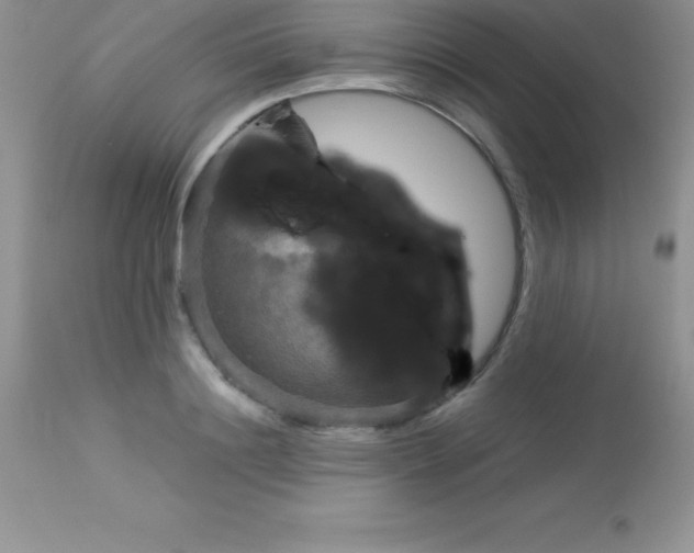 X0000113100844200909182136