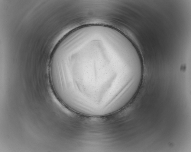 X0000113100847200909182136