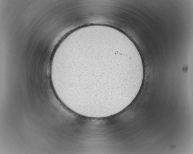 X0000113100848200909182136