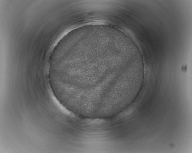 X0000113100851200909182136