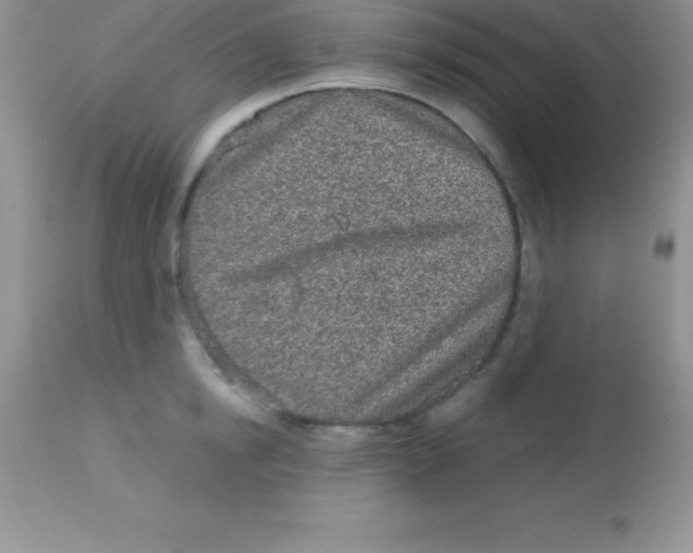 X0000113100854200909182136