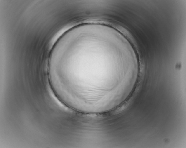 X0000113100855200909182136