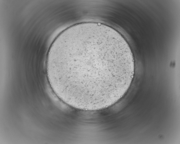 X0000113100856200909182136