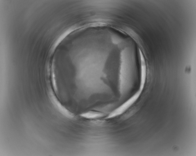 X0000113100859200909182136