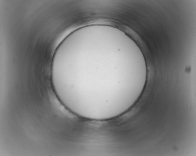 X0000113100860200909182136