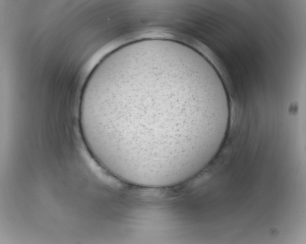 X0000113100861200909182136