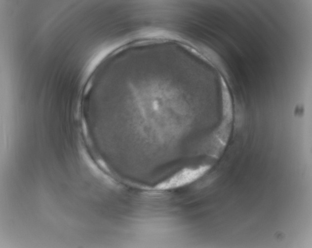 X0000113100863200909182136