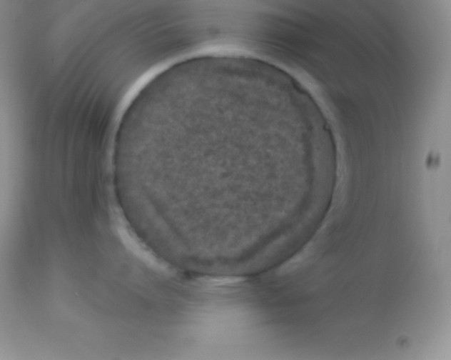 X0000113100864200909182136