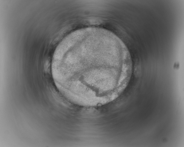 X0000113100866200909182135