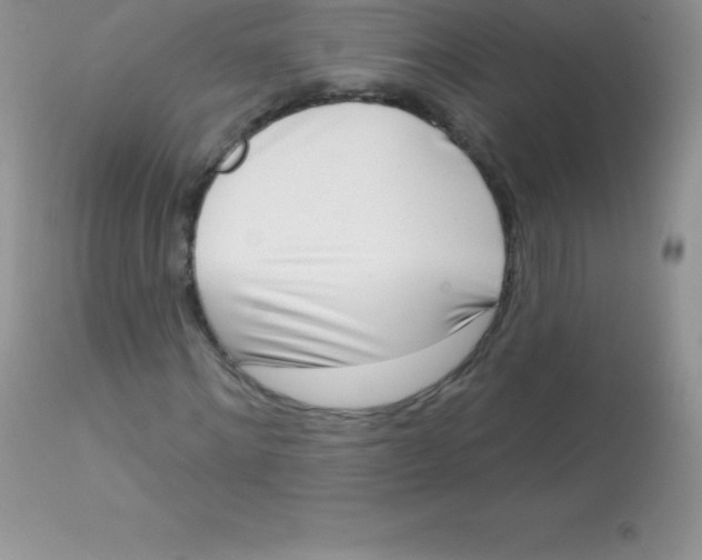 X0000113100868200909182135
