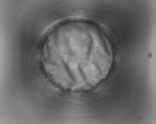 X0000113100870200909182135