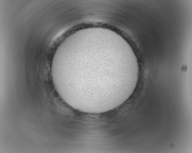 X0000113100871200909182135