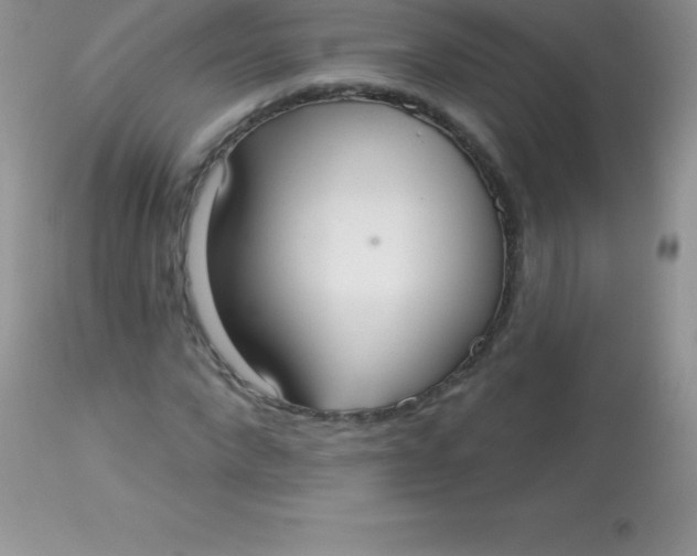 X0000113100872200909182135