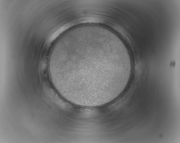 X0000113100874200909182135