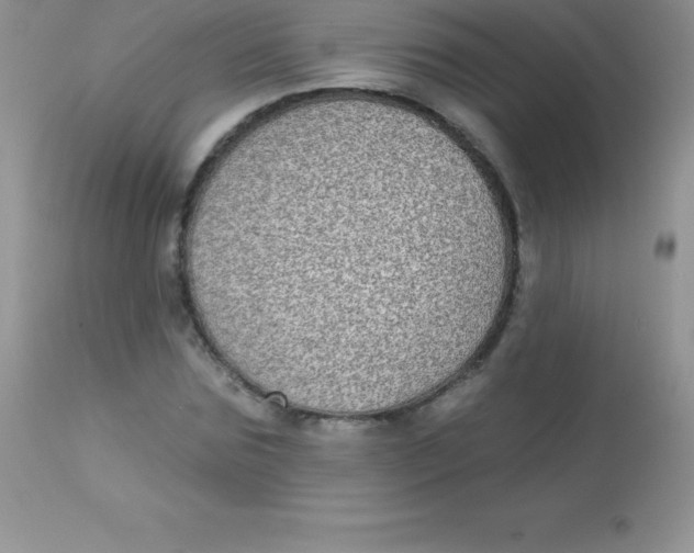 X0000113100875200909182135