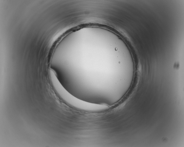 X0000113100877200909182135