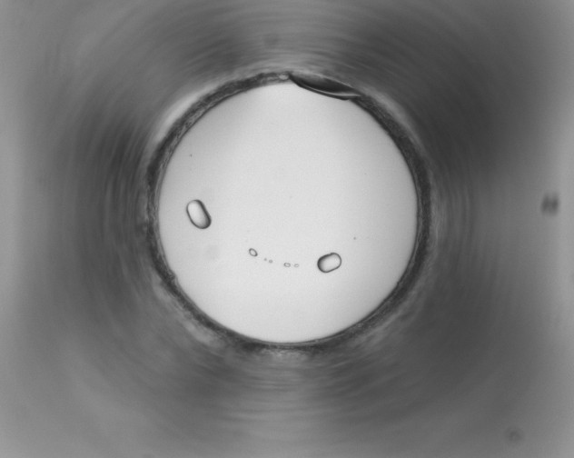 X0000113100878200909182135