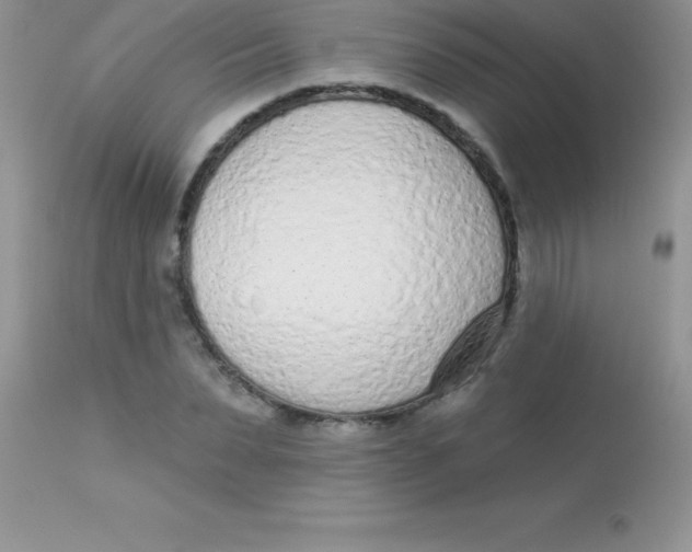 X0000113100879200909182135