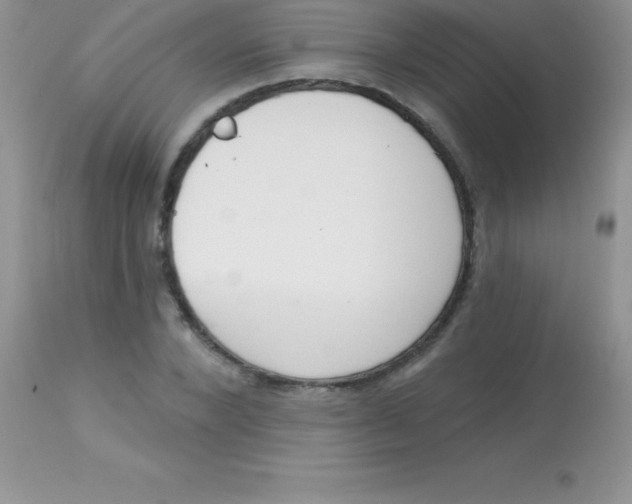 X0000113100880200909182135