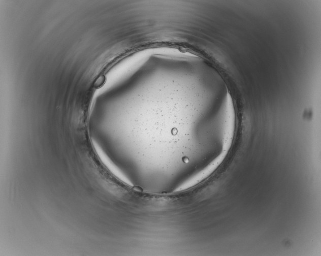 X0000113100881200909182135