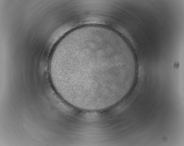 X0000113100882200909182135