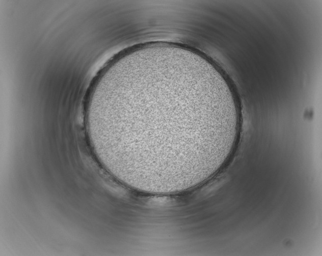 X0000113100883200909182135