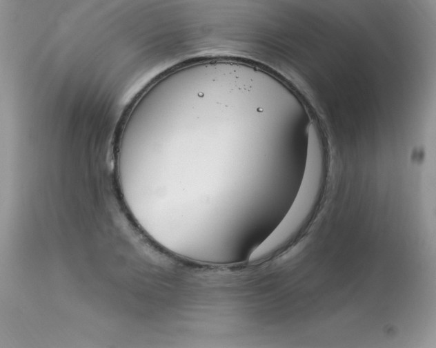 X0000113100885200909182135