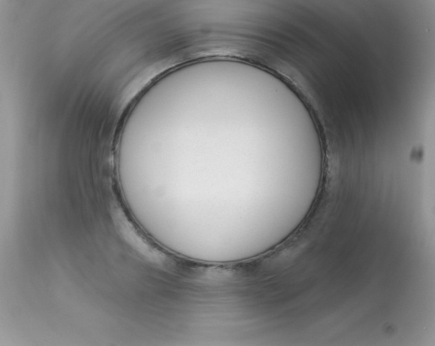 X0000113100890200909182135